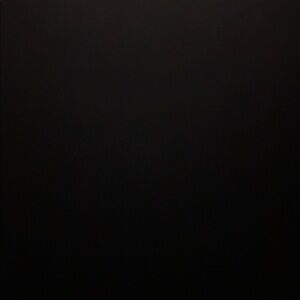 Meet your Posher, Landyn